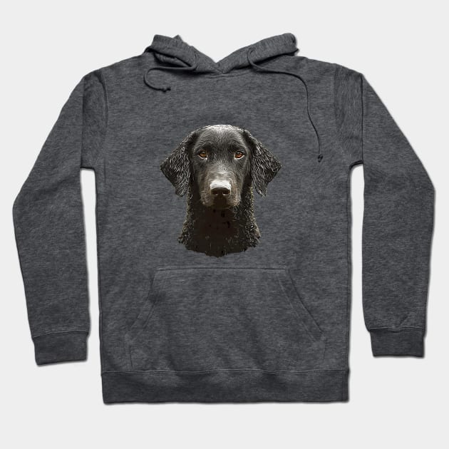 Curly Coated Retriever Hoodie by ElegantCat